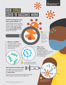 How mRNA Vaccines work